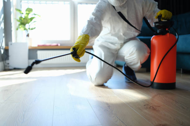 Trusted Sewage Cleanup service in Trenton, GA - Four Month Blood Cleanse